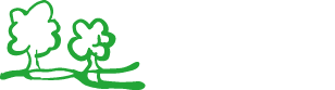 Cabañas Los Tilos – Pucón